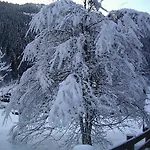 招待所 萨勒旅馆 *