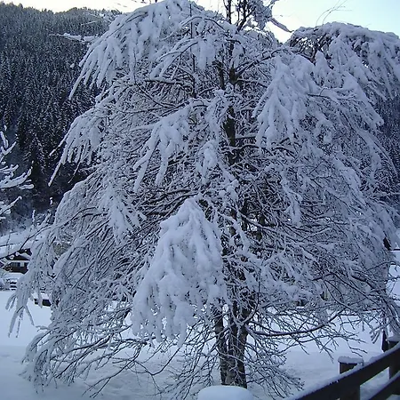 Πανσιόν Gaestehaus Sahler *